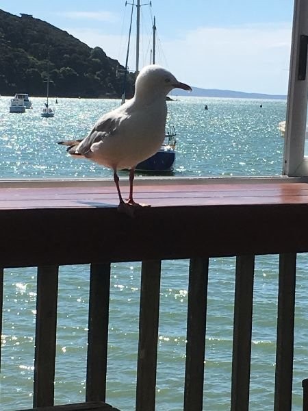 Exploring New Zealand's North Island Island - View from Mangonui Fish & Chip Shop