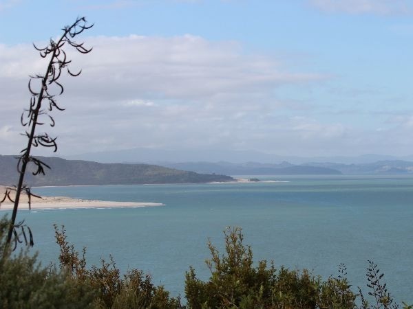 Exploring New Zealand's North Island - Hokianga Harbour